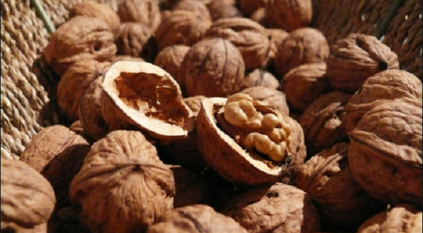 noci - walnuts noci - walnuts
