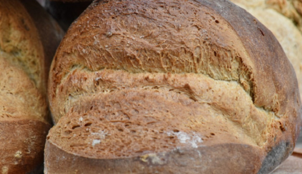 pasta fermentata segale pasta fermentata segale