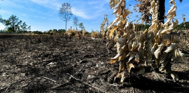 campi aridi campi aridi