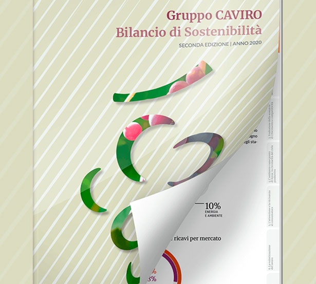 bilancio sostenibilita caviro 2020