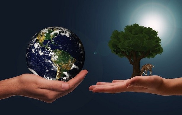 L'ecosostenibilità ambientale per un futuro più green - Idee Green