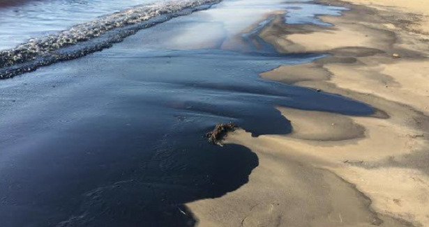 petrolio su spiaggia