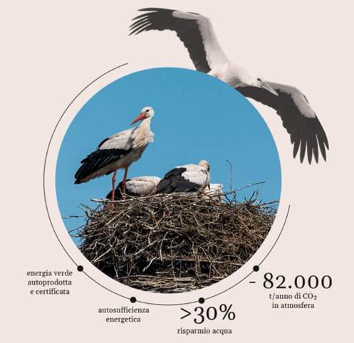 sostenibilita ecologica Caviro