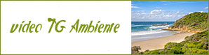 TG Ambiente