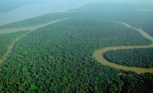 Foresta Amazonica dall'alto