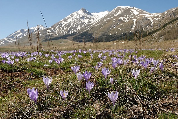 Ecoturismo in Abruzzo: Gran Sasso