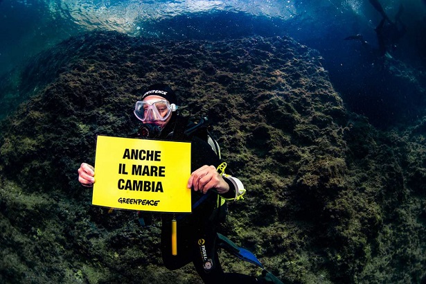 Progetto Mare Caldo di Greenpeace