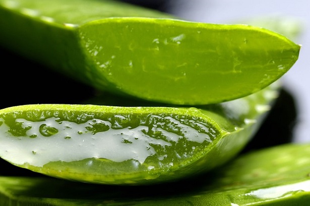 polpa di aloe vera 