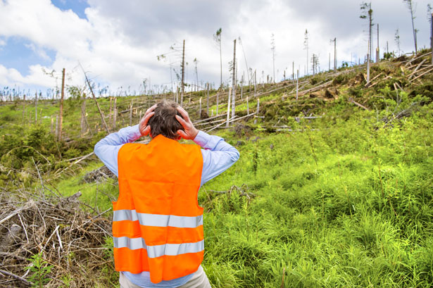 evento meteorologico estremo