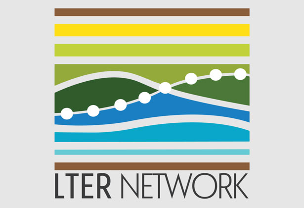 logo lter network