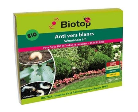 nematoidi anti oziorrinco