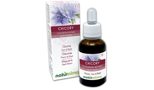 gocce di chicory