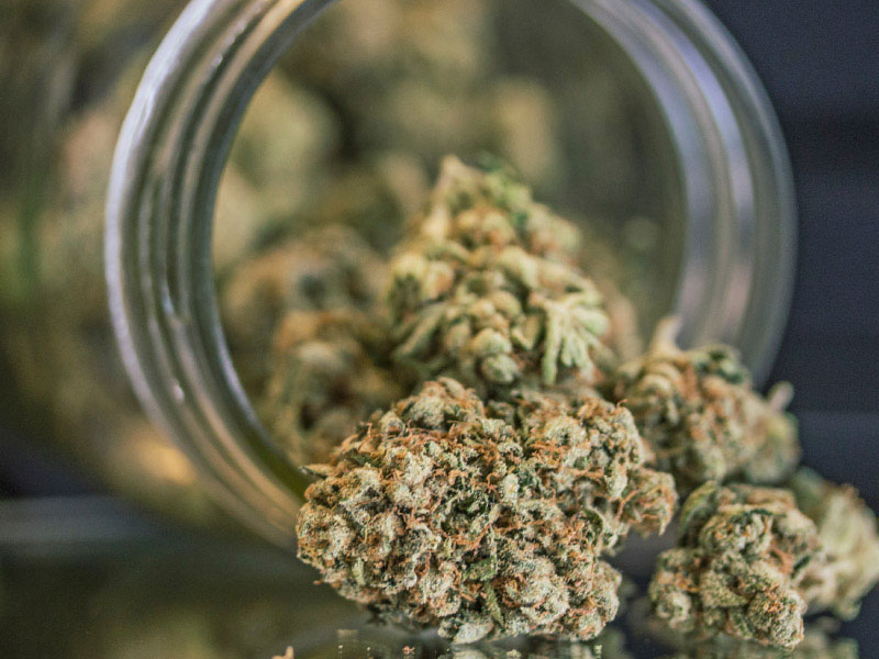 cannabis legale h4cbd