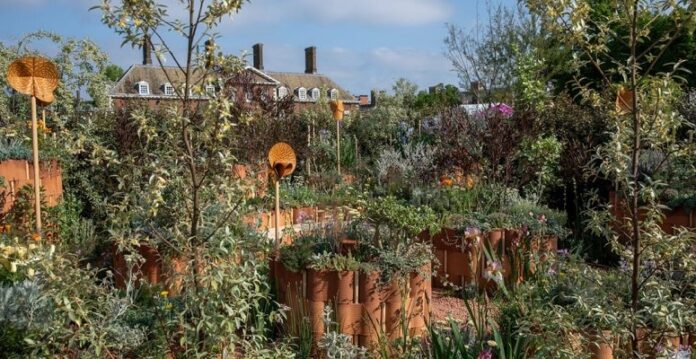 italiano vince premio chelsea flower show