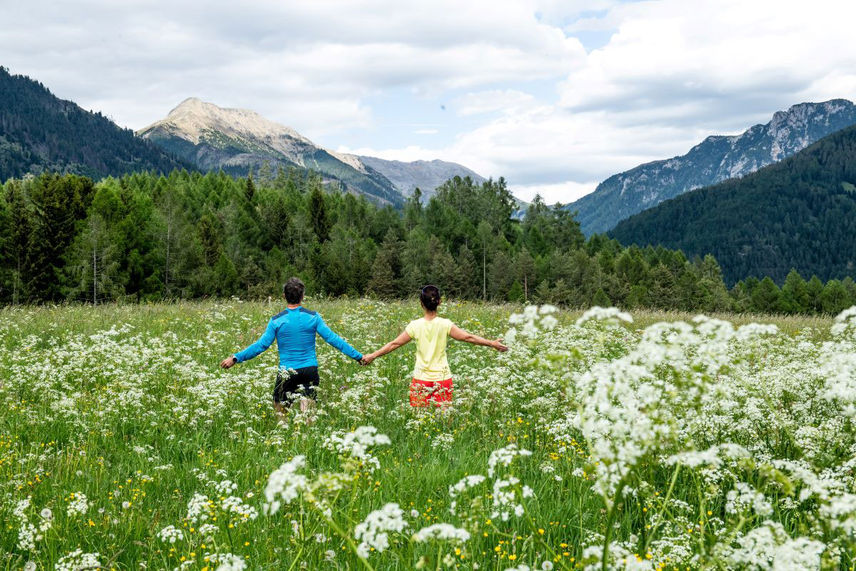 prati in Val di Fiemme
