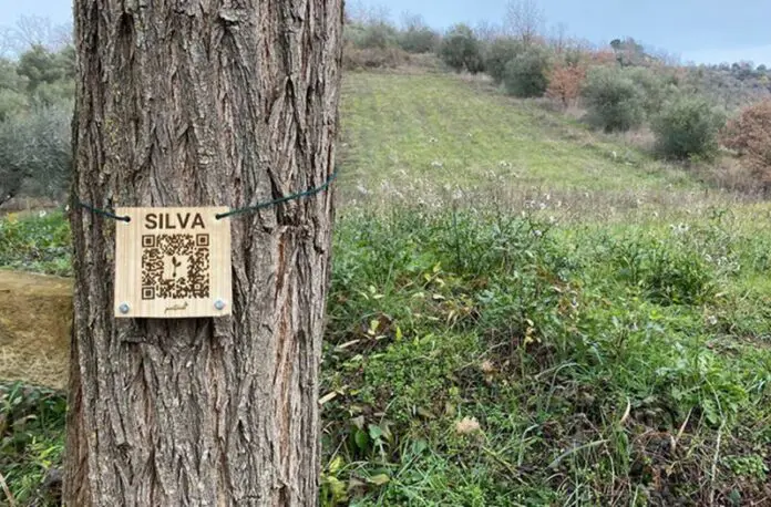 Intecs pianta un albero per ogni dipendente e nasce il Bosco Intecs in Abruzzo