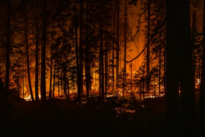 Calabria, approvato il Piano Antincendi 2025