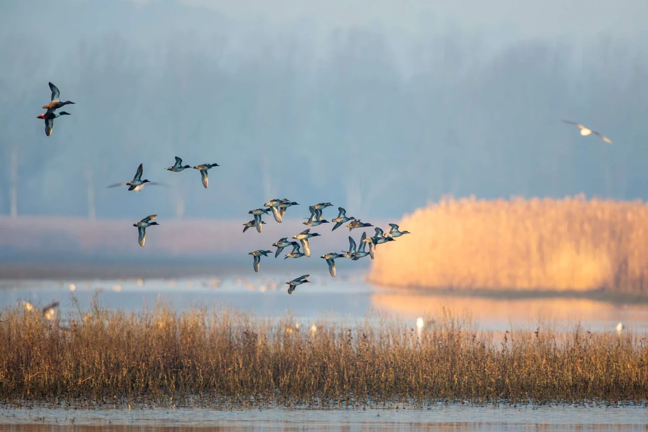 Una proposta di legge per riconoscere le aree Oecm