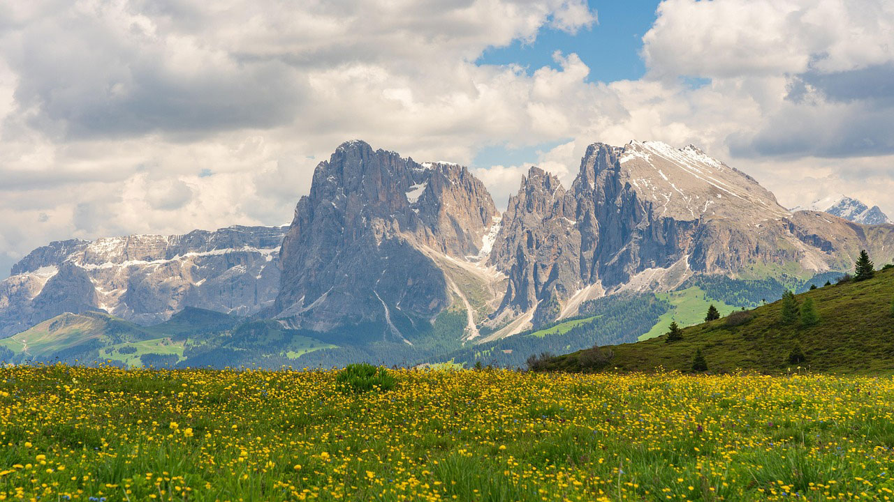 Dolomiti prato fiorito