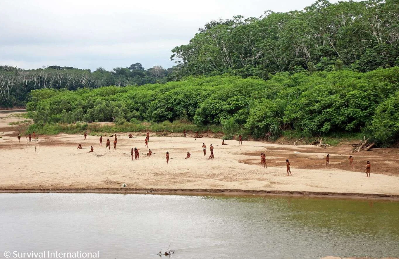 indigeni in amazzonia