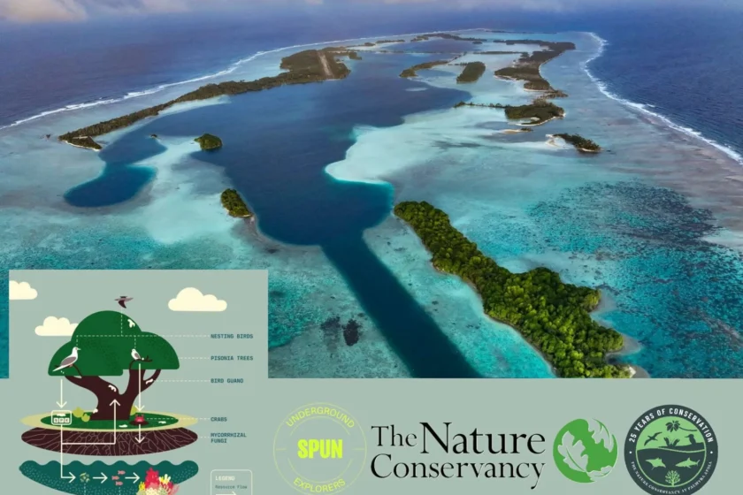 foto dall'alto di un'isola