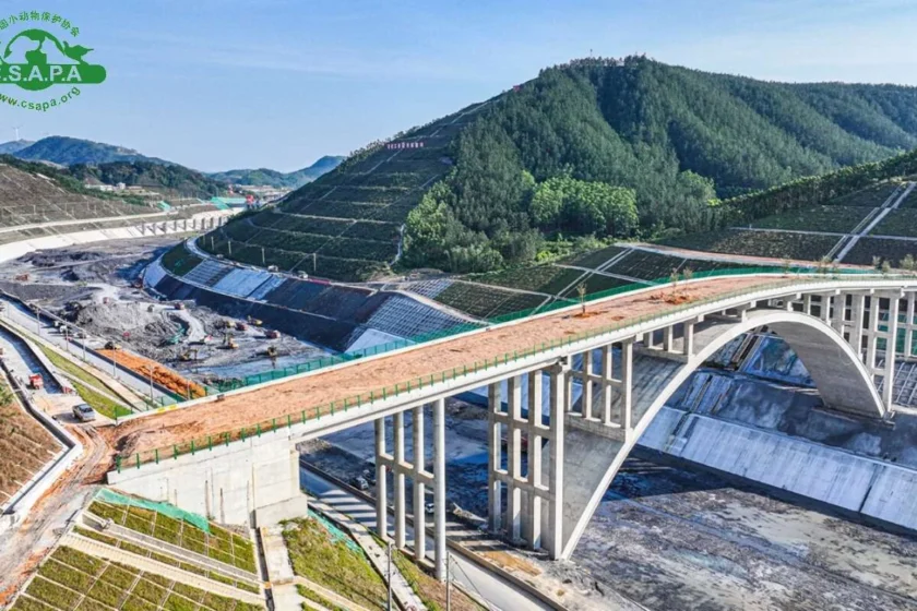 Ponte-corridoio faunistico sul Canale di Pinglu in Cina, progettato per riconnettere habitat naturali separati dall’infrastruttura.