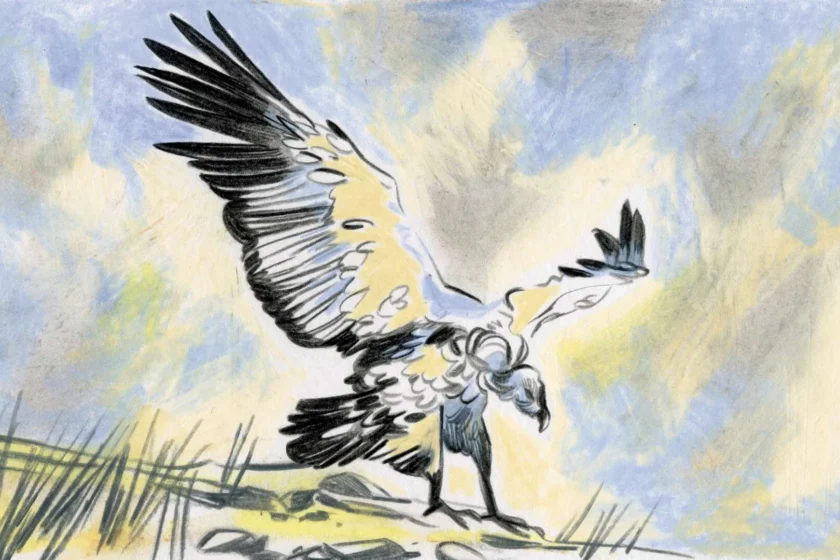 **Alt text:**
Illustrazione di un grifone in volo con ali spiegate, disegnato in stile acquerello su sfondo di cielo nuvoloso.