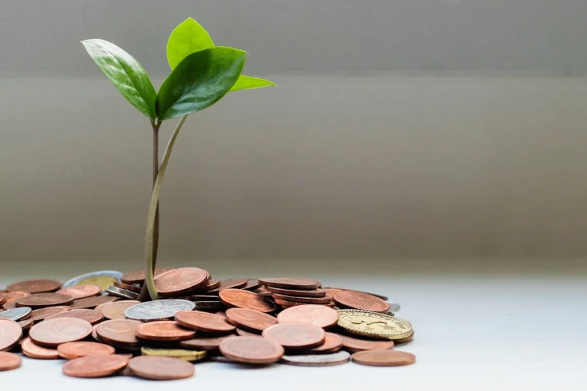 Giovane pianta che cresce su un mucchio di monete, simbolo di sostenibilità, investimenti green ed economia circolare.