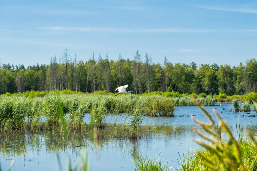 biodivertità e imprese